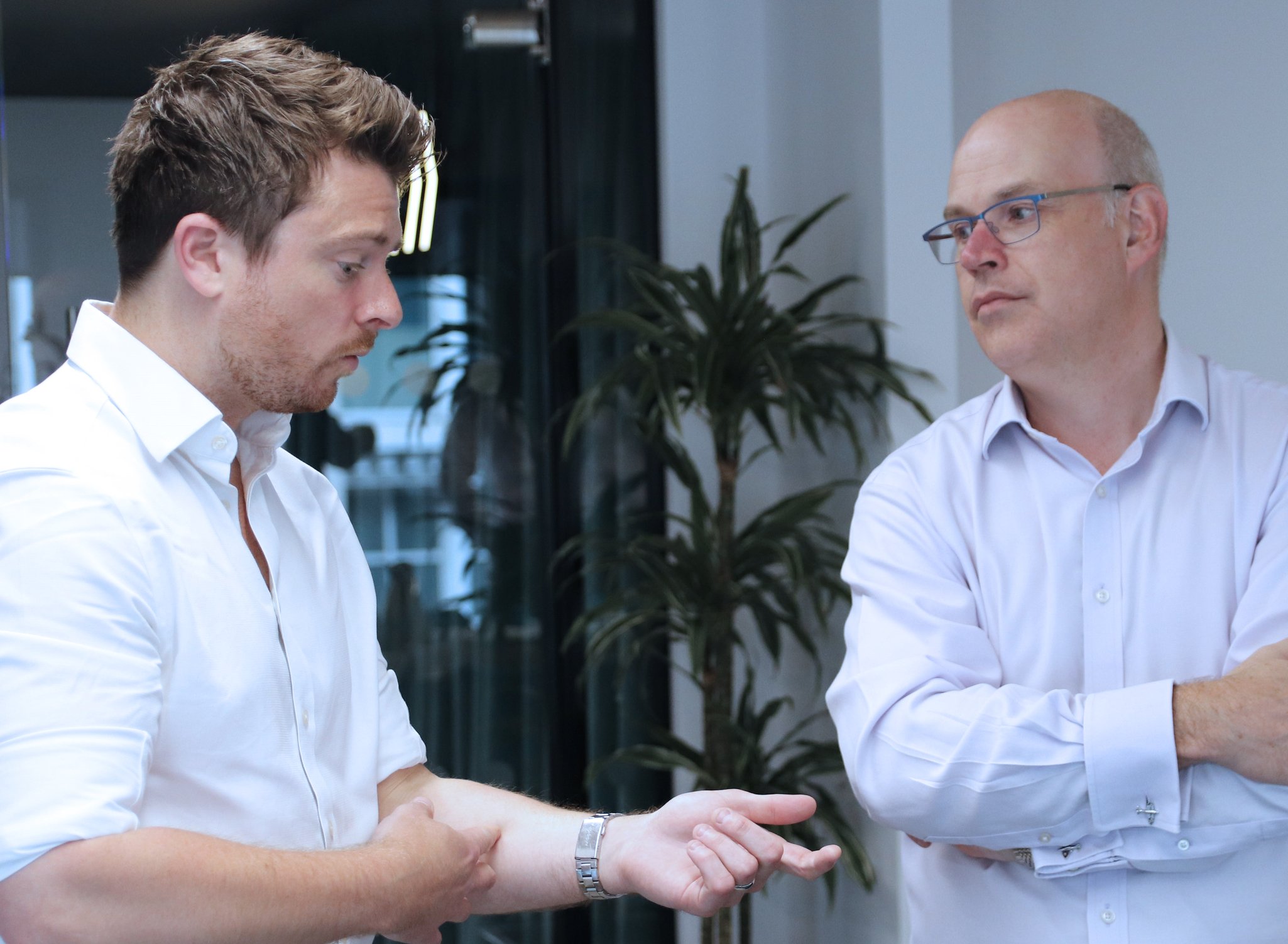 Experienced Professionals Albany Beck